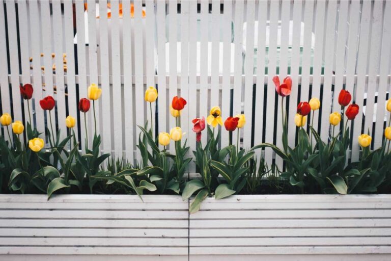 Security and Privacy: Finding the Perfect Balance with Residential Fencing