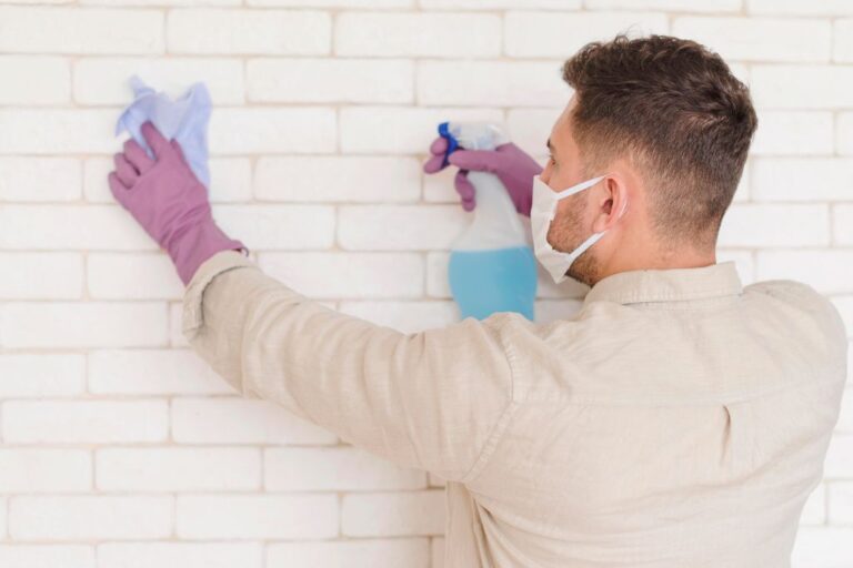 How to Properly Clean and Maintain Painted Surfaces